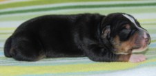 Enlarge photo 6