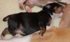 Enlarge photo 16