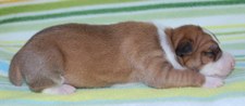 Enlarge photo 3