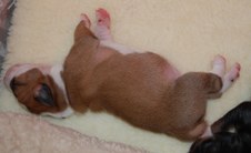 Enlarge photo 15