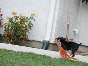 Enlarge photo 20
