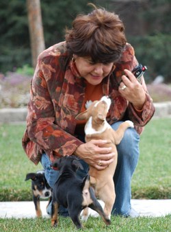 Enlarge photo 47
