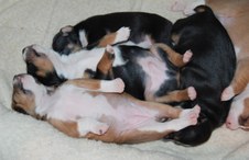 Enlarge photo 14