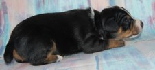 Enlarge photo 15