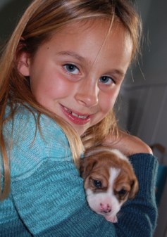 Two and Half Week Puppy Socialization