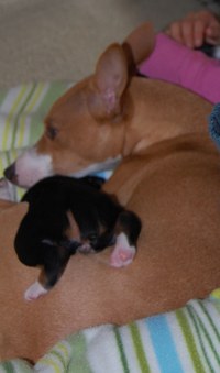 Enlarge photo 14