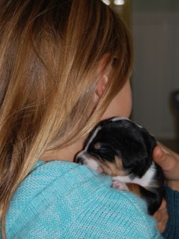 Enlarge photo 12