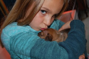 Enlarge photo 10