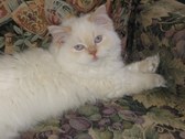 Enlarge photo 17