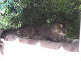 Enlarge photo 1
