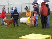 Enlarge photo 48