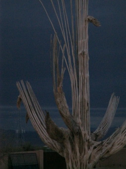 Enlarge photo 103