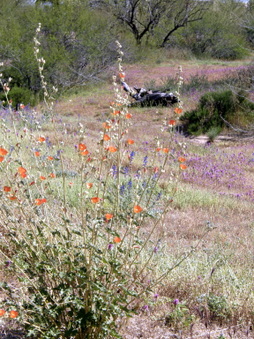 Enlarge photo 9