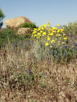 Enlarge photo 10