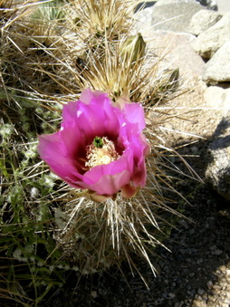 Enlarge photo 11