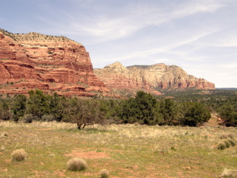 Enlarge photo 95