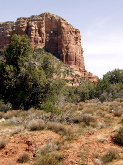 Enlarge photo 97