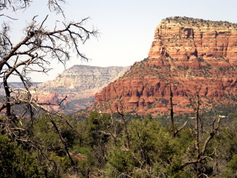 Enlarge photo 98