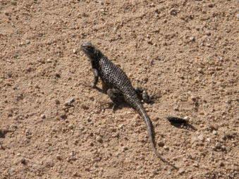 Enlarge photo 17