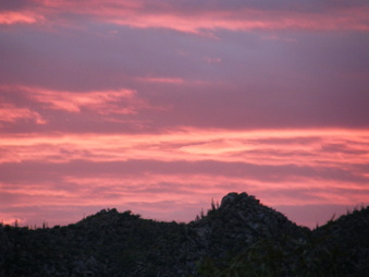 Enlarge photo 102