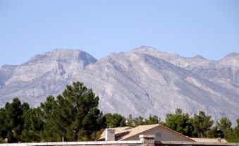 Enlarge photo 86
