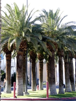 Enlarge photo 87