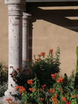 Enlarge photo 74