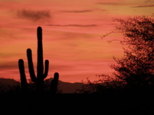 ARIZONA TRIP