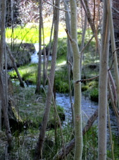 Enlarge photo 66
