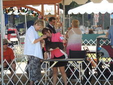 Enlarge photo 3