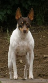 Enlarge photo 52