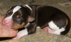 Enlarge photo 48