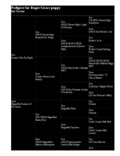 Enlarge HTML Document 67