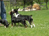 Enlarge photo 14