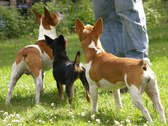 Enlarge photo 15