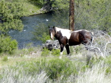Enlarge photo 1