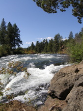 Enlarge photo 39