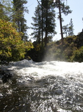 Enlarge photo 34