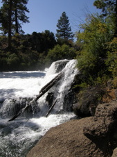 Enlarge photo 37