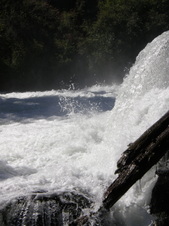 Enlarge photo 36