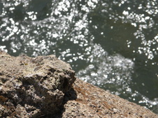Enlarge photo 35