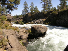 Enlarge photo 43