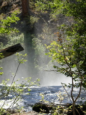 Enlarge photo 29