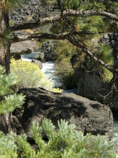 Enlarge photo 28
