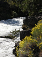 Enlarge photo 31
