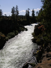 Enlarge photo 32