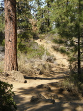 Enlarge photo 40