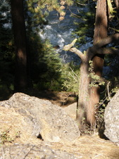 Enlarge photo 33