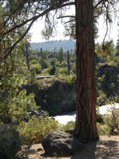 Enlarge photo 41