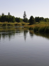 Enlarge photo 42